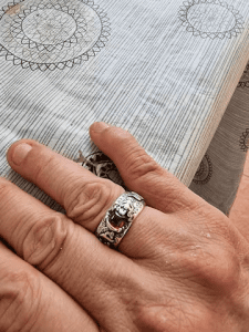 Natural Garnet Pixiu Ring - Feng Shui Wealth Ring photo review