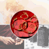 Lucky Buddhist Monk Bracelet - Buddha & Karma