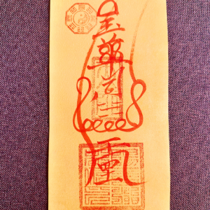 Yuhua Si Home-Guardian Talisman (Yellow Paper) – Ward Off Entities & Keep the Home Peaceful (11×22 cm)